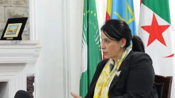 السفيرة سلمى حدادي تفتك منصب نائب رئيس مجلس مفوضية الاتحاد الأفريقي .