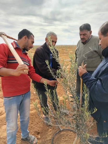 ‏”فرق بحثية من مركز بحوث الصحراء تقدم الدعم الفني والإرشادي للمزارعين في سيناء”