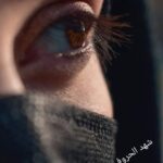 شهد الحروف