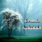 السعادة الحقيقيه