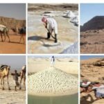 وادى بلى وطريق الملح خلف جبل ابو شعر بالبحر الأحمر .