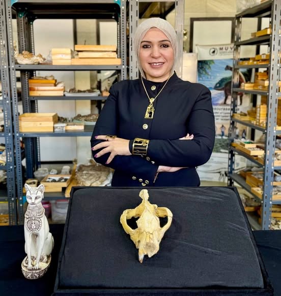 رئيس جامعة المنصورة نجاح وتميز بعد اكتشاف عالمي جديد لمركز الحفريات الفقارية بجامعة المنصورة