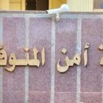 جريمة تهز المنوفية.. أشقاء يقتلون طفلًا حرقًا بسبب خلافات عائلية