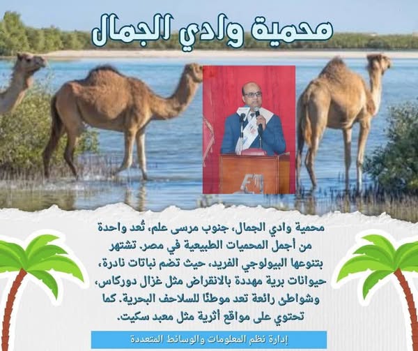 محمية وادى الجمال.. طبيعة خلابة تزين مرسى علم .