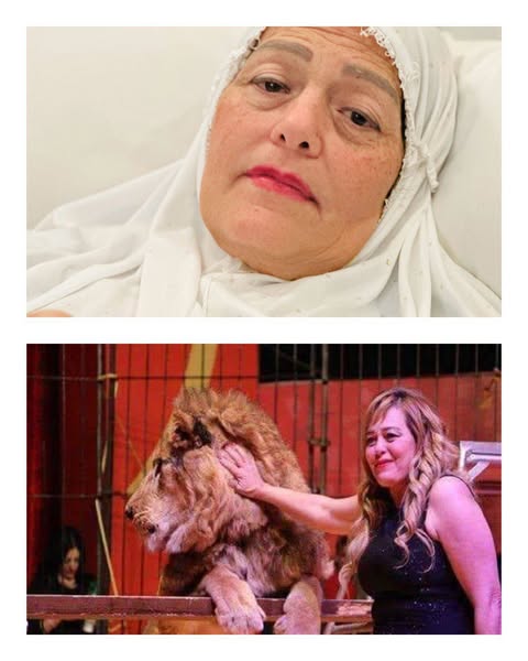 فاتن الحلو تكشف عن تجربتها في دار كبار الفنانين: “دهب وكاميليا سندي في الحياة” كتب / حامد خليفة