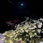 “عناق الأمل في صمت الفراق”