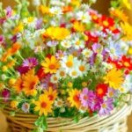 عنوان الخاطر: “أصداء الماضي”
