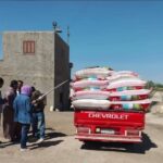 استمرار تدفق الأقماح الذهبية للمواقع التخزينية بمحافظة الشرقية الشرقية مرفت عبد القادر