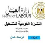 وزارة العمل: 4424 فُرصة عمل جديدة في 72 شركة خاصة تنتظر شباب 12 محافظة كتبت مرفت عبد القادر