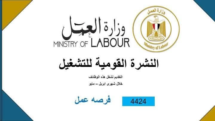 وزارة العمل: 4424 فُرصة عمل جديدة في 72 شركة خاصة تنتظر شباب 12 محافظة كتبت مرفت عبد القادر