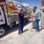 المواقع التخزينية تستقبل ٥٥٠٨٧٠ طن و ٧٨٠ كيلو  من الذهب الأصفر بالشرقية  الشرقية مرفت عبد القادر