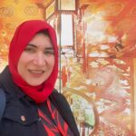 قانون الخدمات الرقمية (DSA): حماية المستخدم في العصر الرقمي هاله المغاورى فيينا