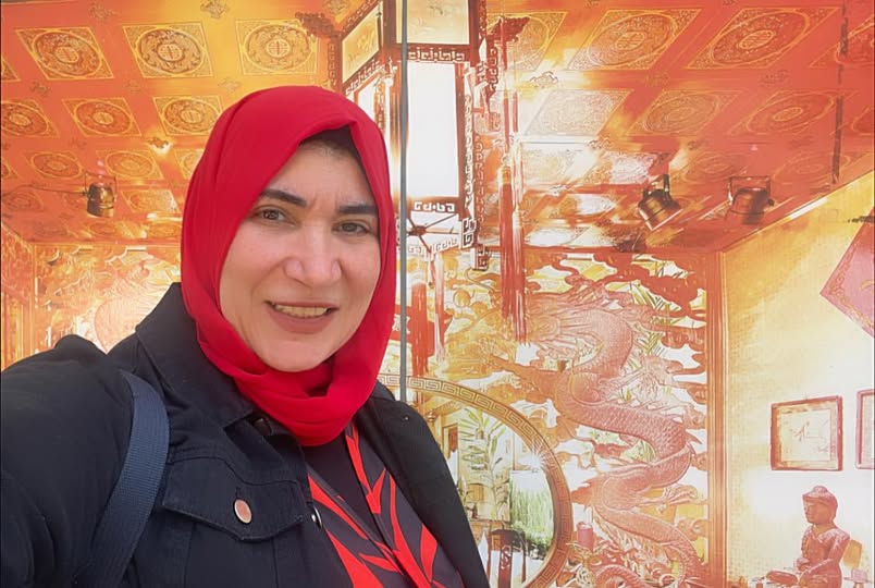 قانون الخدمات الرقمية (DSA): حماية المستخدم في العصر الرقمي هاله المغاورى فيينا