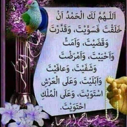 احتياج الإنسان للحب والأمان: رحلة البحث عن التقدير والاحتواء بقلم /د.عبدالهادي الكناني