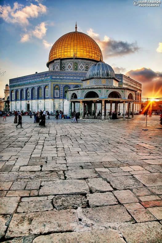 • – حقيقة إحتلال اليهود للأرض المقدسة تخرج للعلن. قراءة مفصلة – الكاتبة الدكتورة حكيمة جعدوني