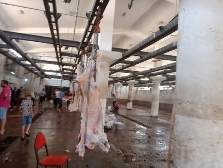 ذبح وتجهيز ٣٢٧ رأس ماشية بمجازر البحيرة