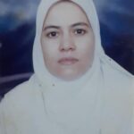 الهجرة في سطور