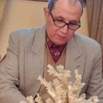 المدارس خالية والسناتر عامرة