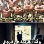 “الرجولة والرجال تقاس بحجم الدفاع الذي قُدِّم لتحرير فلسطين”