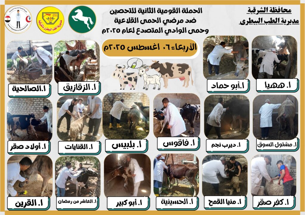 إدارة الطب البيطري الوقائي بالزقازيق: ركيزة أساسية لحماية الثروة الحيوانية والتنمية المستدامة