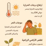 التغيرات المناخية في مصر… تحديات متصاعدة وحلول مطلوبة