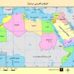 “لا دول عربية امتنعت عن التصويت لفلسطين… احذروا الشائعات والفتنة