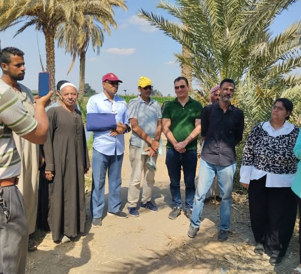 زراعة اطسا يوم حصاد تحميل فول الصويا على الذرة الرفيعه في حقل ارشادي