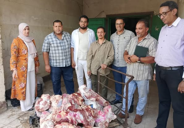 حملات تموينية تسفر عن ضبط لحوم وأسماك فاسدة بسوهاج