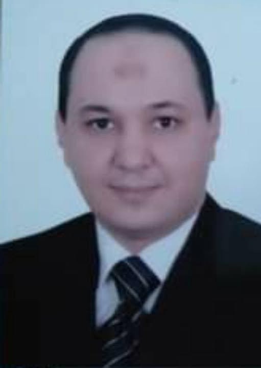 حماية الأمن المعلوماتي للدولة المصرية
