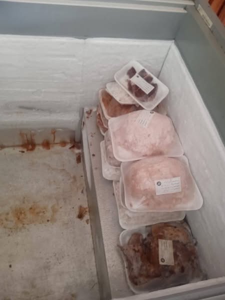 حملات صحية تضبط مخالفات غذائية بالإسماعيلية