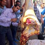 حملات الطب البيطري بسوهاج تضبط لحوماً وأسماكاً غير صالحة للاستهلاك
