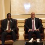 تعاون مصري سوداني لتعزيز التدريب المهني وتقنين العمالة