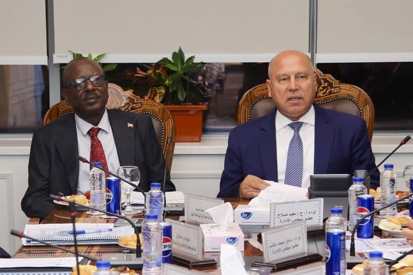 تعاون مصري سوداني لتطوير هيئة وادي النيل