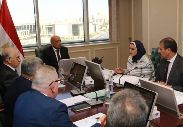 الكهرباء تبحث دعم مشروعات توشكى والعوينات والروبيكي