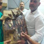ضبط لحوم وأسماك فاسدة بالقليوبية قبل طرحها بالأسواق