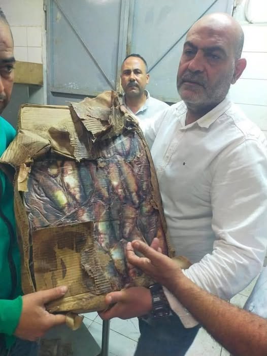 ضبط لحوم وأسماك فاسدة بالقليوبية قبل طرحها بالأسواق