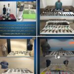 الداخلية تجهض مخططات بؤر إجرامية لجلب المخدرات