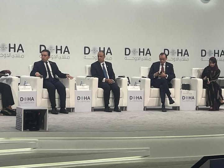 الخارجية المصرية تشارك بشأن إعادة تقييم المسؤوليات العالمية ومسارات السلام في غزة