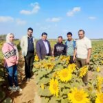 وزارة الزراعة قام فريق العمل بمركز الزراعات التعاقدية بتنفيذ ندوات توعوية بالفيوم وبني سويف