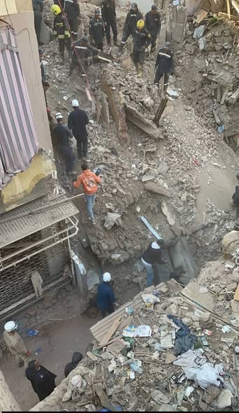 الكلاب البوليسية تقود عمليات البحث تحت أنقاض إمبابة