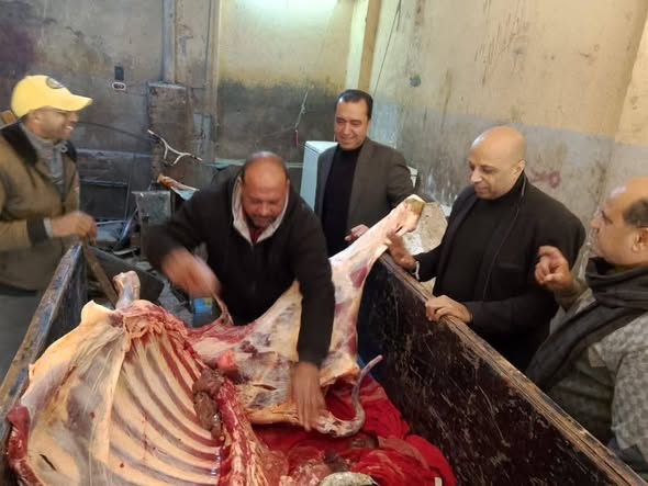 ضبط سلخانة غير مرخصة للذبيح وضبط لحوم وأعضاء مواشي غير صالحة للاستهلاك الأدمي.