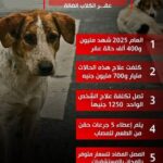 تصاعد مقلق لحالات عقر الكلاب يهدد أرواح المواطنين