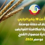 البحيرة تستعد لإطلاق حملة موسعة بالبحيرة لمكافحة القوارض موسم ٢٠٢٦٦