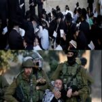• هل اليهودي يقاتل في فلسطين؟