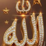 في زحام الحياة