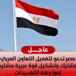 الأمن القومي العربي في الميزان مصر تدعو لـ “قوة مشتركة” لمواجهة الإعصار الإقليمي