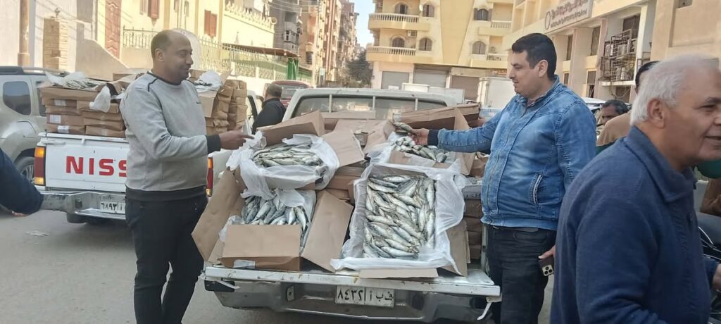 ضبط 1380 كيلو سردين فاسد بالفيوم