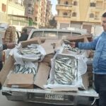 ضبط 1380 كيلو سردين فاسد بالفيوم
