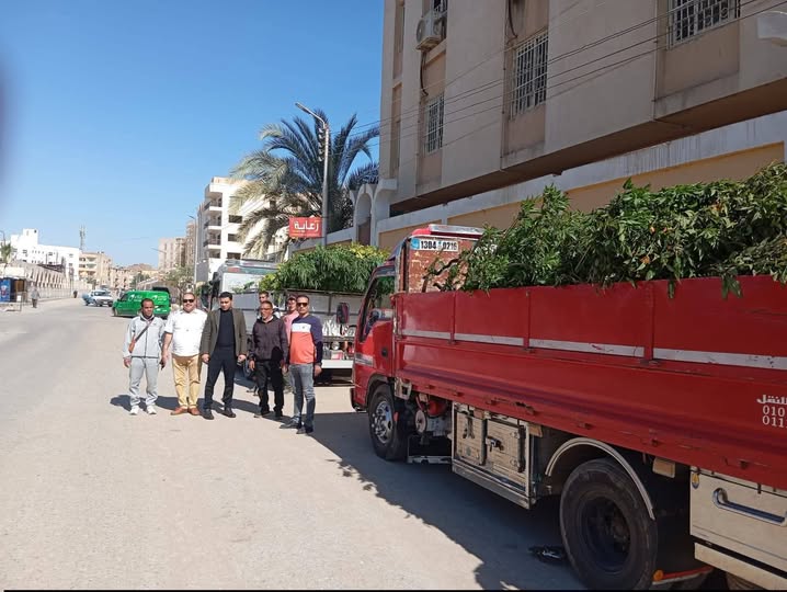 توزيع 9985 شجرة على مدارس ومراكز شباب الفيوم ضمن مبادرة “100 مليون شجرة”