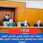السجن المؤبد لمتهم أنهى حياة نجله وأحرق جثمانه في سفاجا .